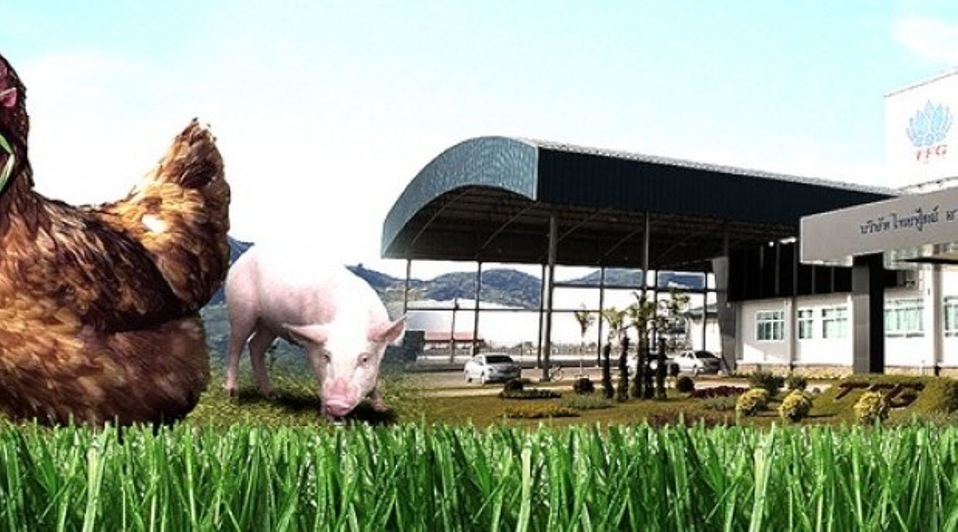 ThaiFoods Group reduces IPO shares