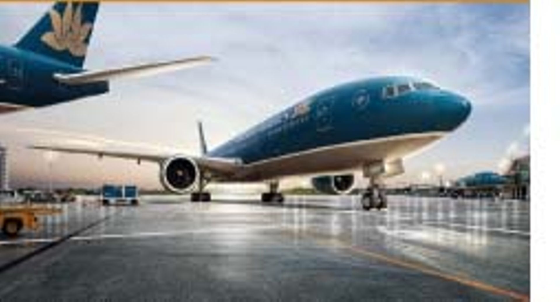 Vietnam Airlines IPO: Domestic banks to be largest investors? 