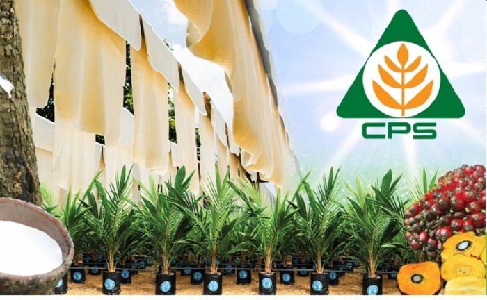 Thai conglomerate CP plots global expansion 