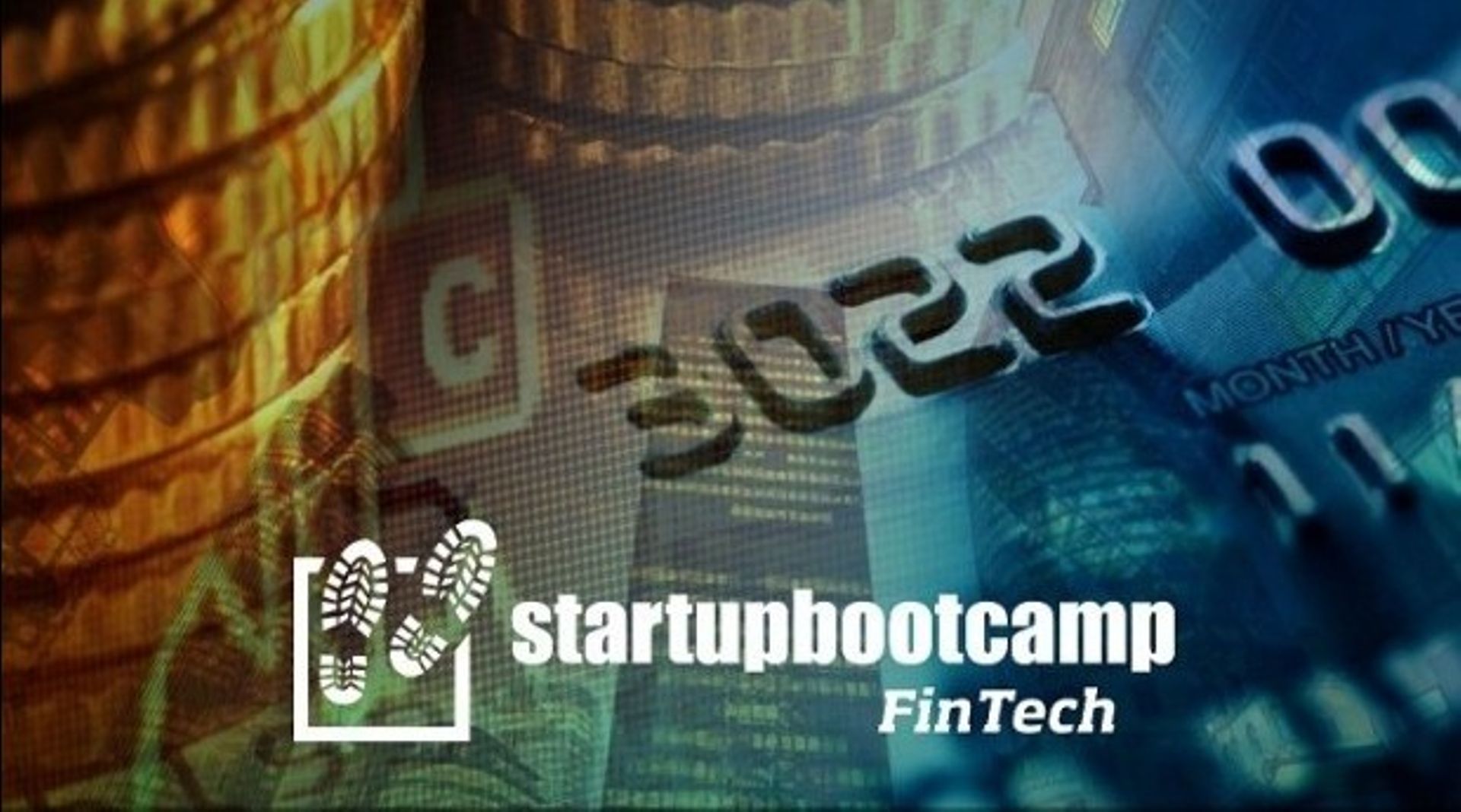Alt funding, wealth mgmnt ripe for FinTech: Liolios
