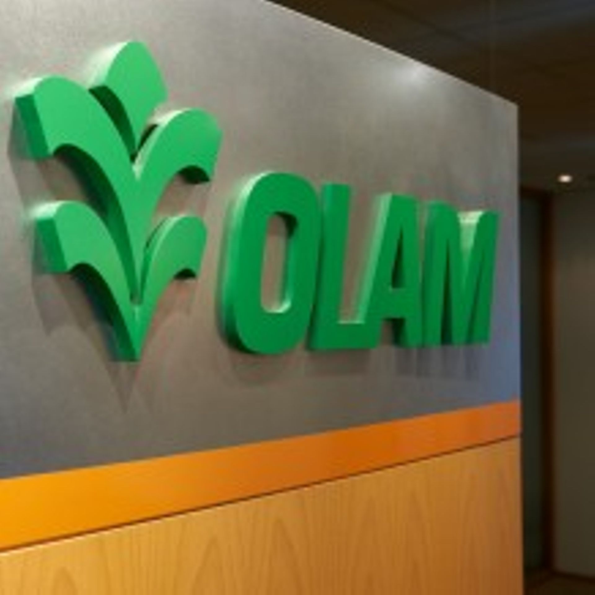 Olam Group eyes agri unit's Singapore-Saudi dual IPO by first half of 2024