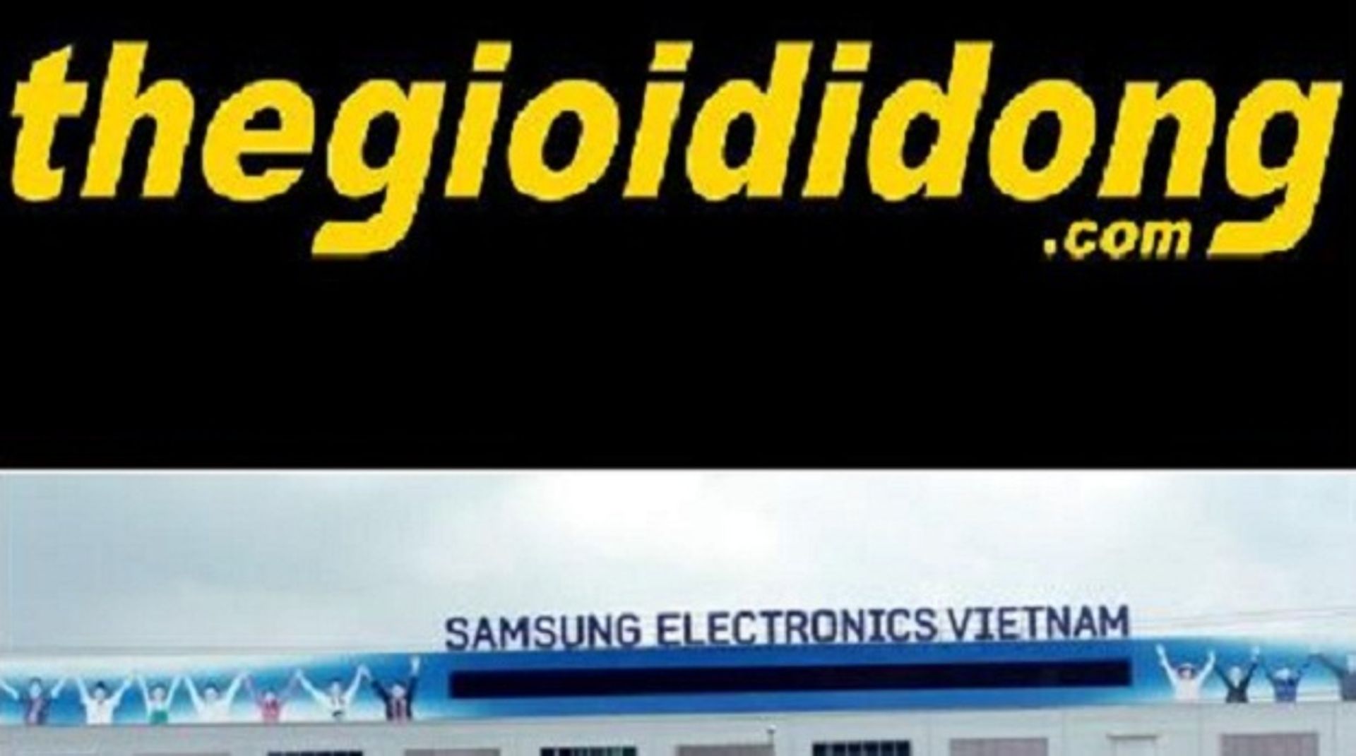 VN roundup: MWG, Rang Dong, Samsung
