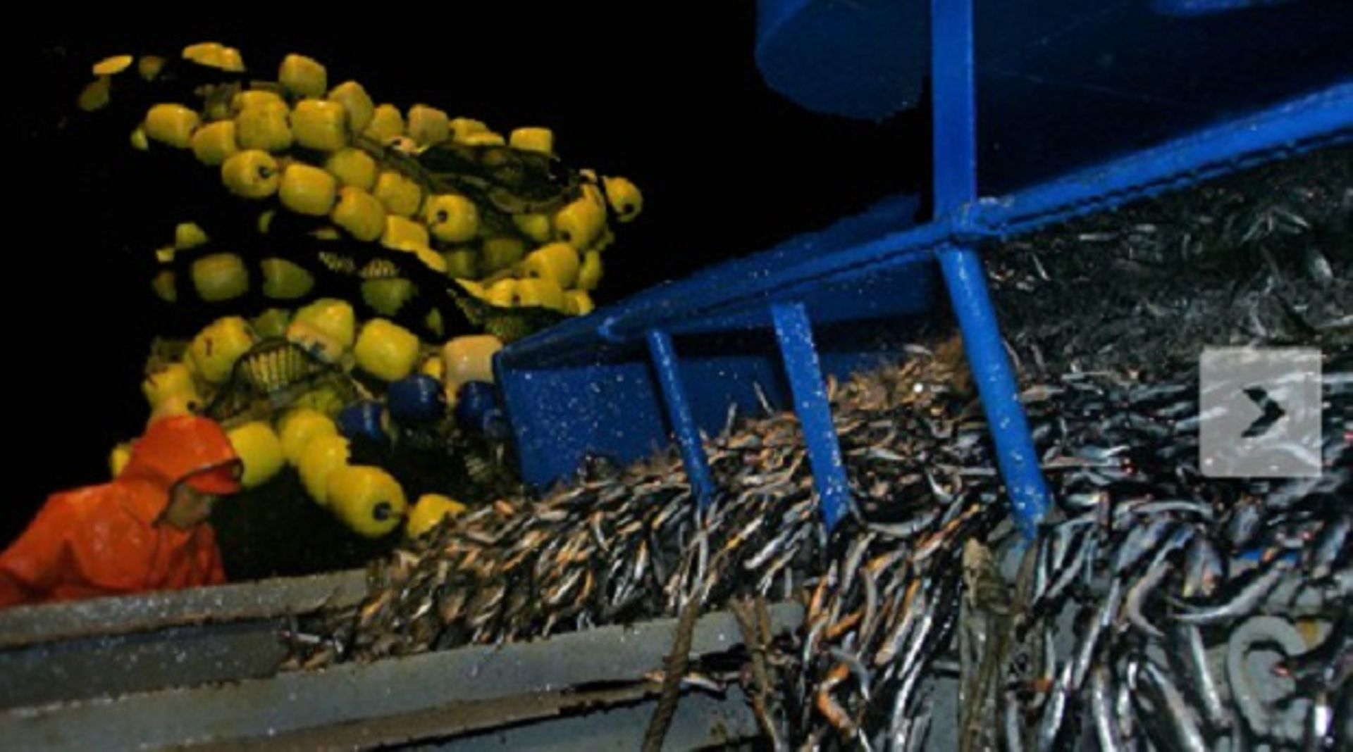 Carlyle Group exits China Fishery board