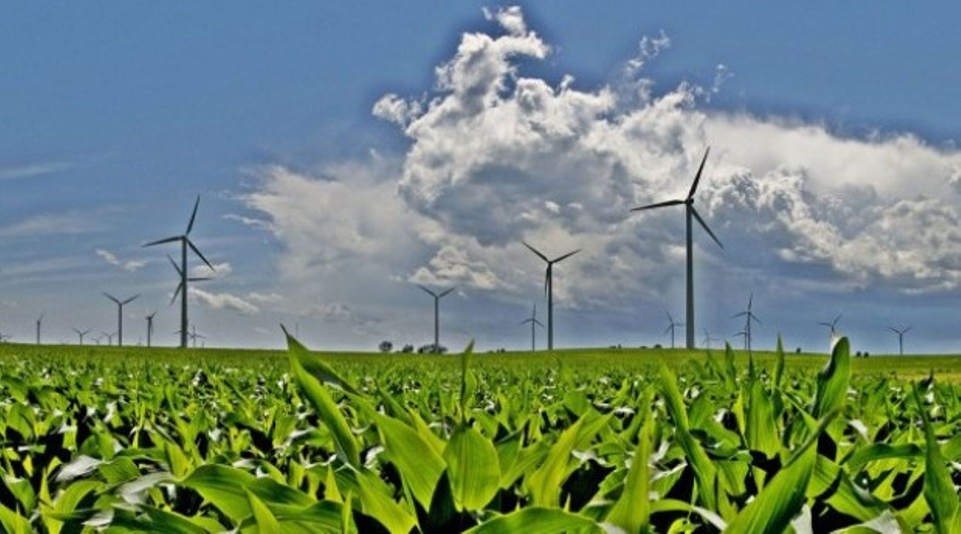 Sembcorp Industries withdraws papers for India energy unit listing