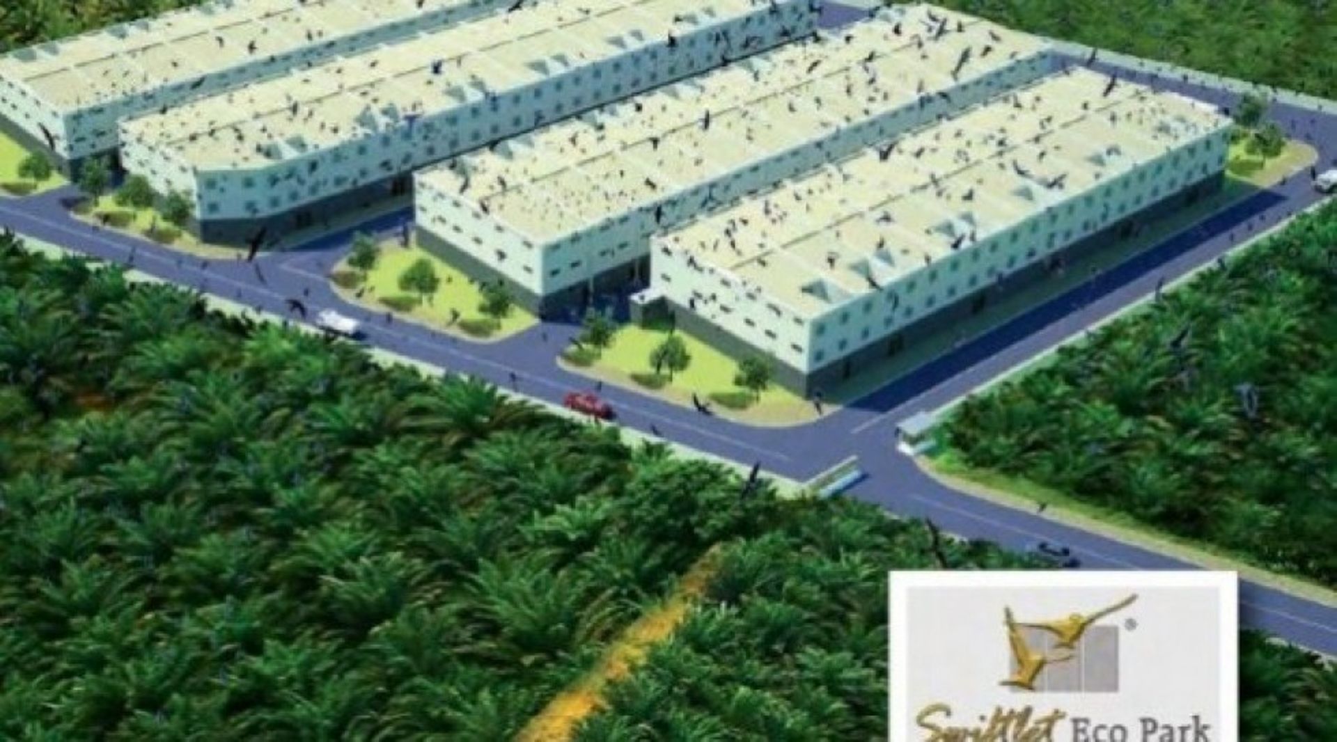 Malaysian bird-nest product maker Swiftlet Group signs distribution agreements worth $200m in China, India, UAE
