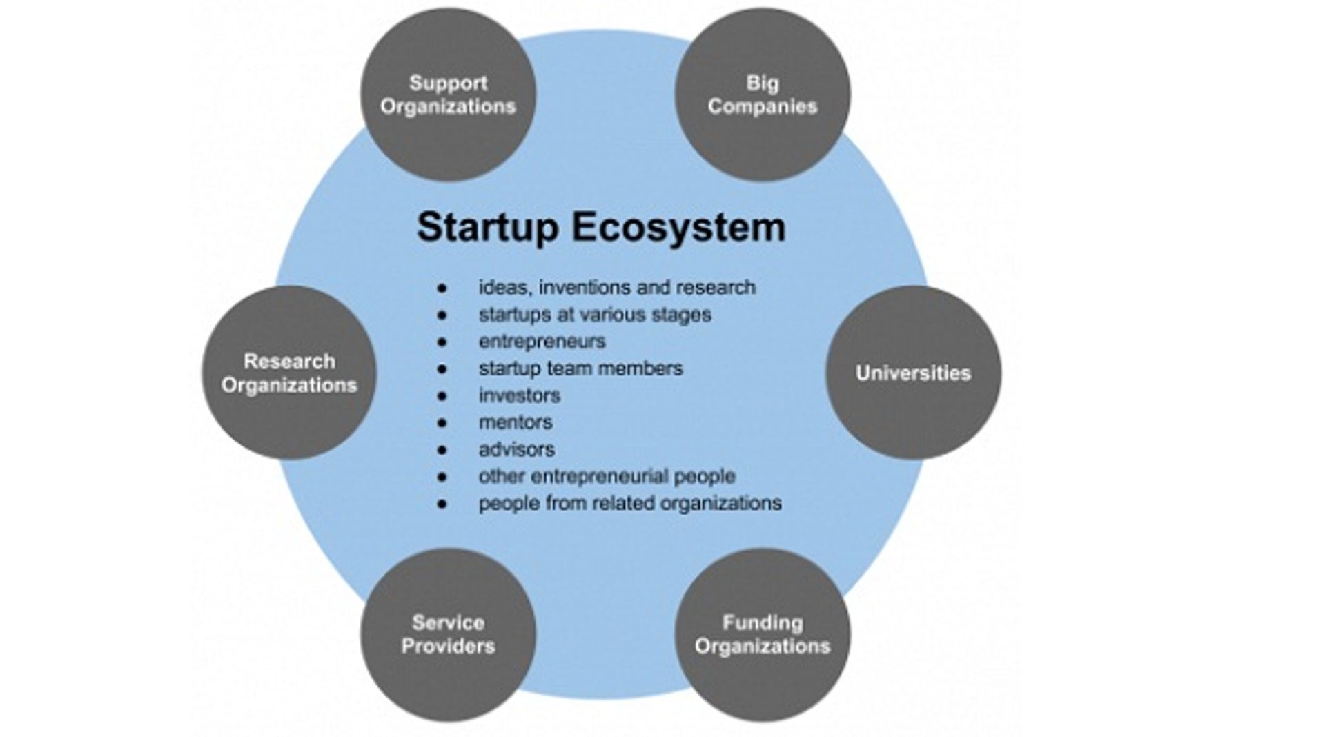 Venture Capital firms: Function and role of associates
