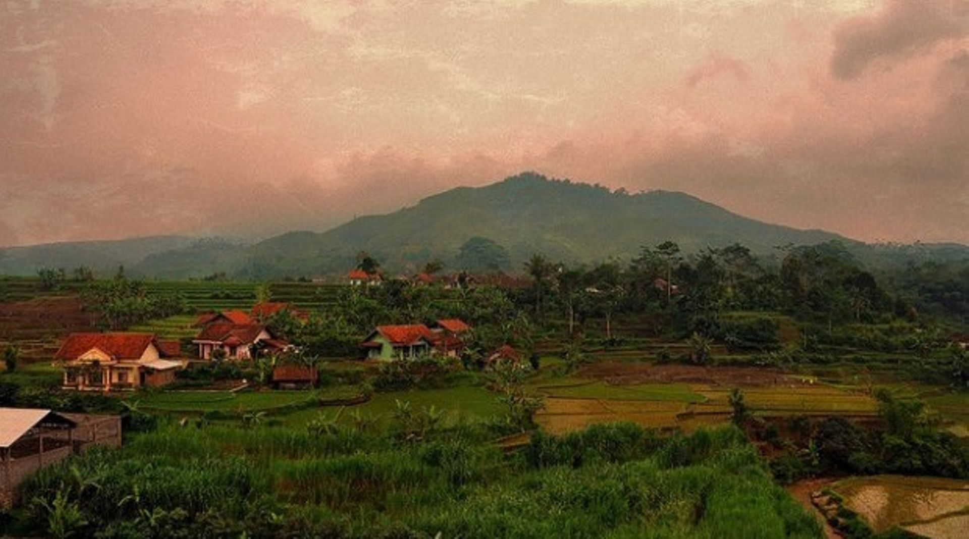 Deltamas reviews IPO plans for $200m listing: Report