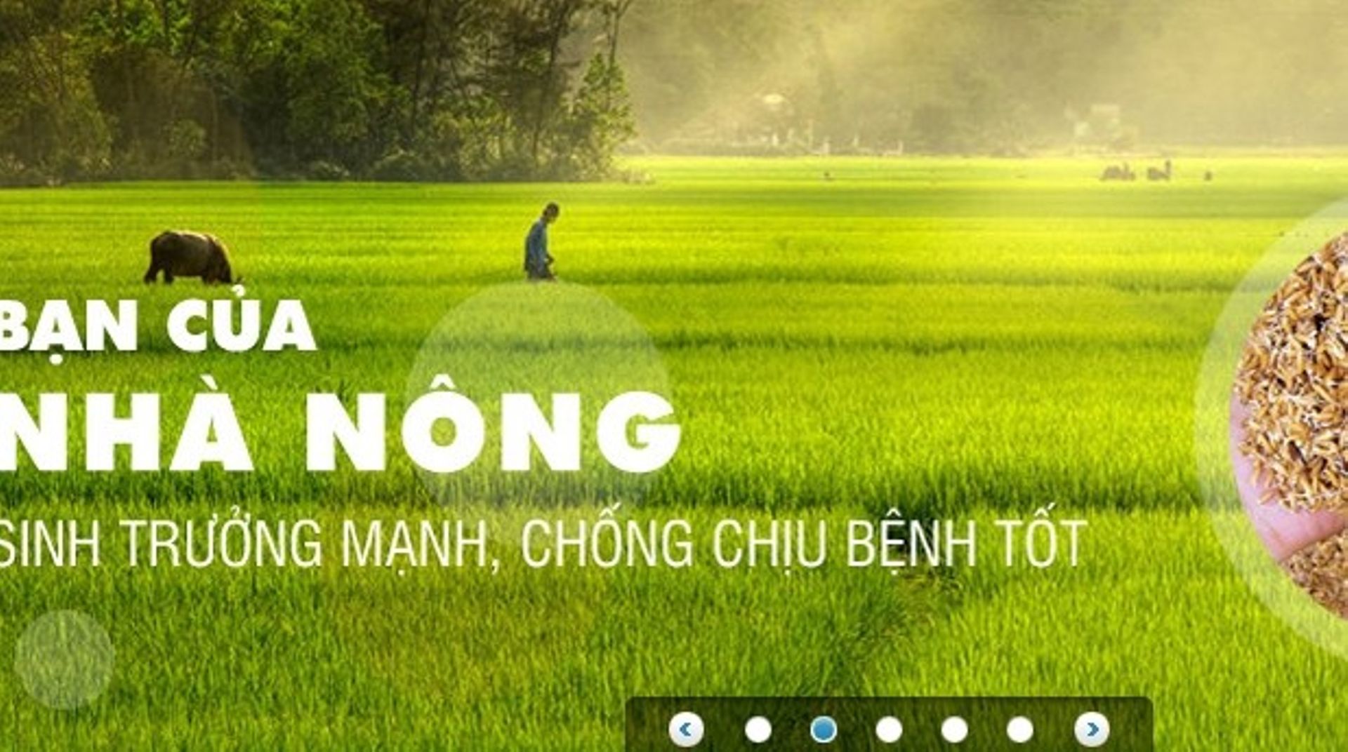 Vietnam based investment group FIT joins management of investee co Can Tho