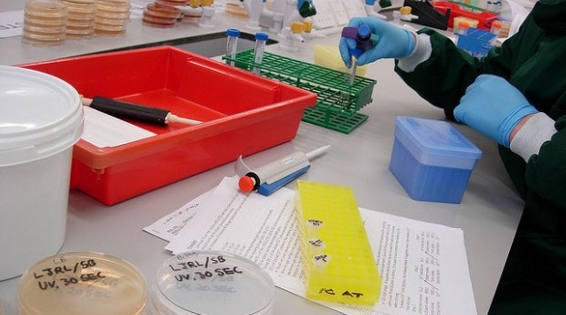 GIC joins Hillhouse Capital-led consortium investing $418m in I-Mab