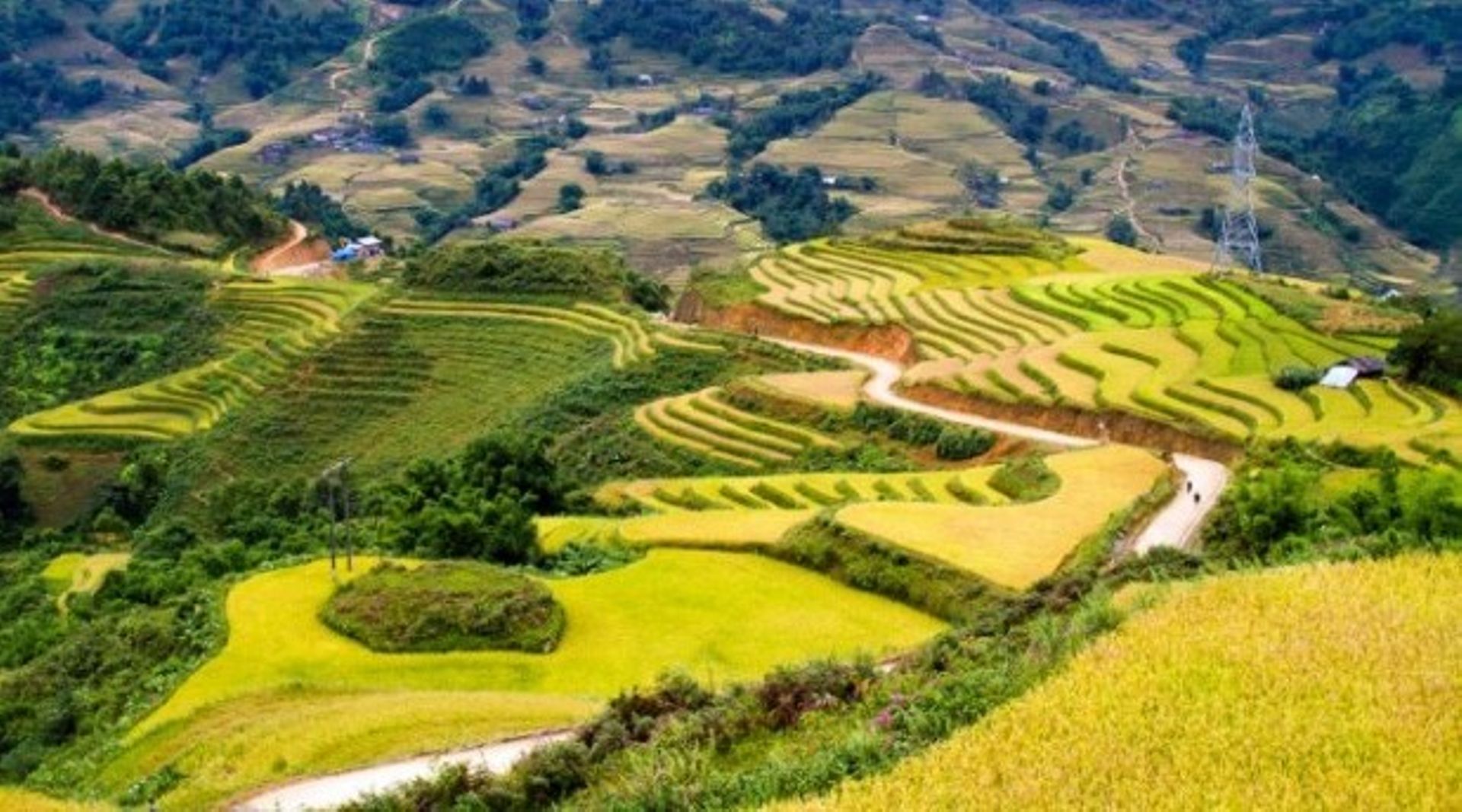 VN Dealbook: New FDI reaches $3.7b, Sa Pa attracts property investors, Jetstar Pacific inks deal with Dentsu Vietnam