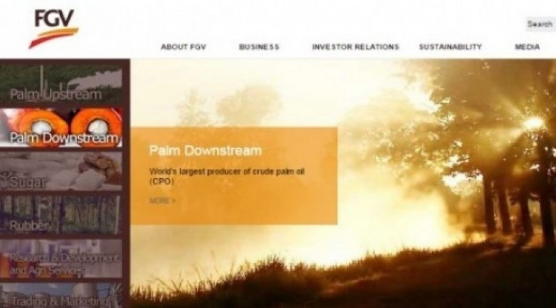 MY's Felda Ventures arm to buy four firms of Indonesia's Rajawali Group including Eagle High Plantations
