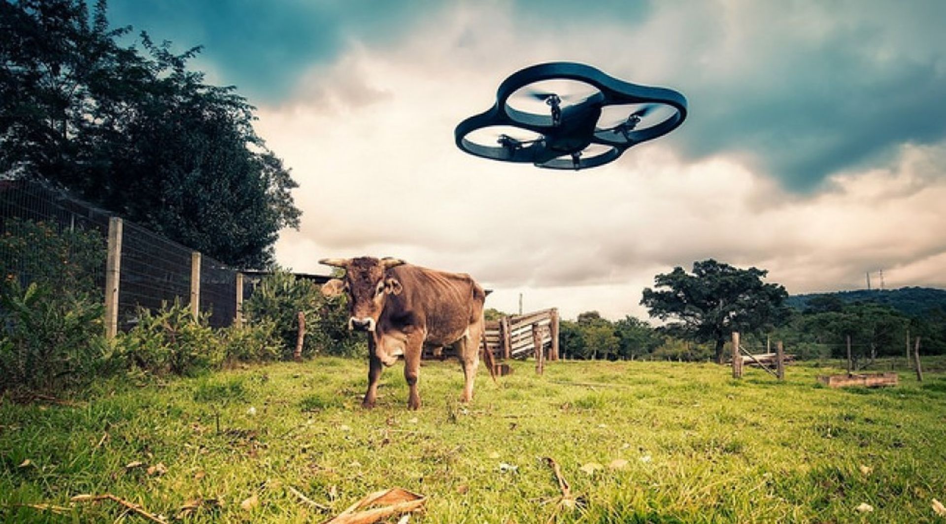 India Digest: Garuda Aerospace raises $22m, Rezolve.ai bags $11m