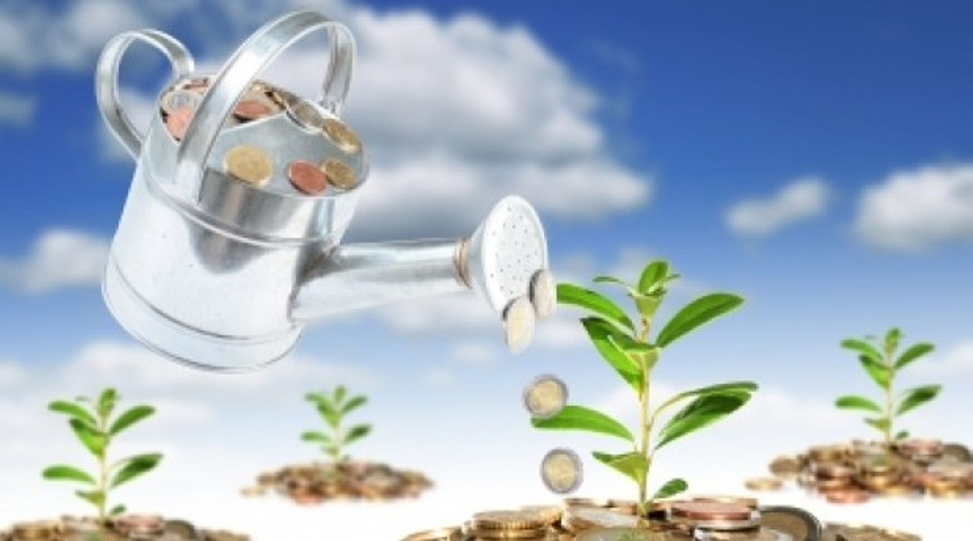 India needs more local Venture Capital firms for stable ecosystem