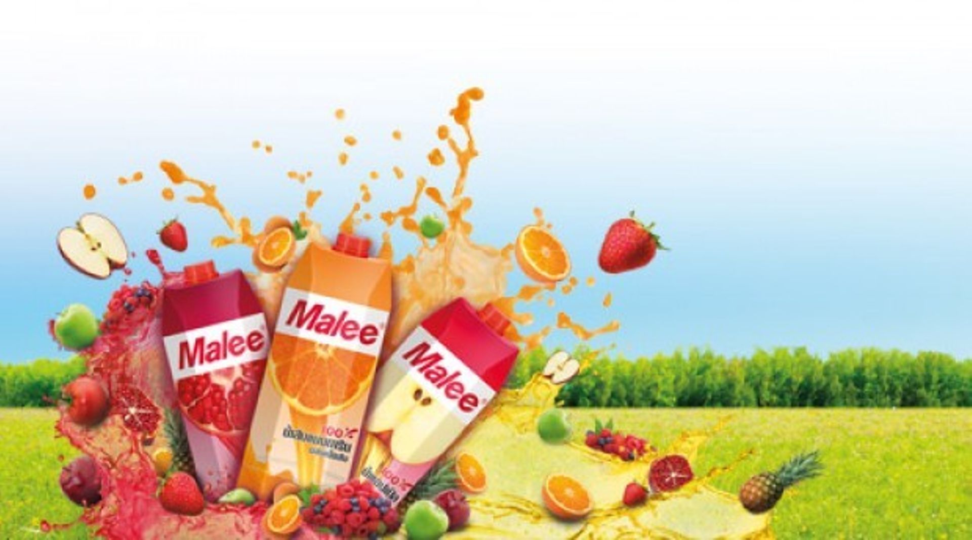 Thai beverages firm Malee acquires 65% stake in Vietnam's Long Quan Safe Food