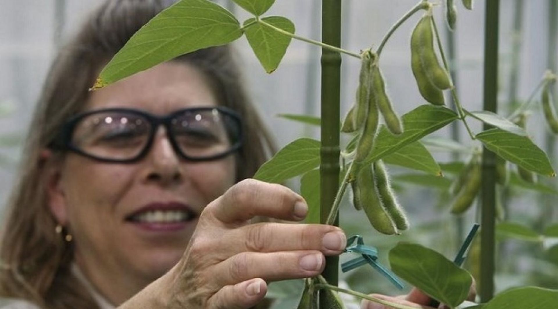 Pivoting after failed Syngenta bid, Monsanto to build big data business