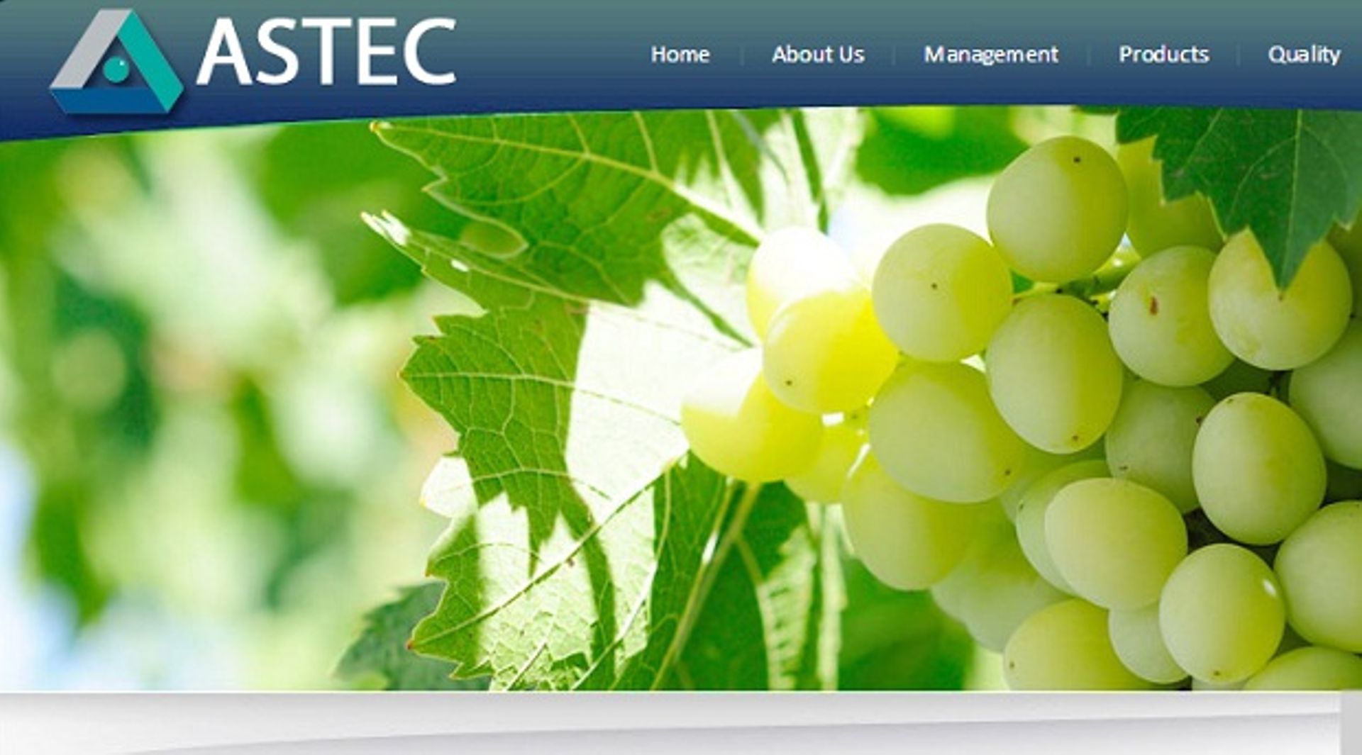 India: Godrej buys Astec to diversify portfolio