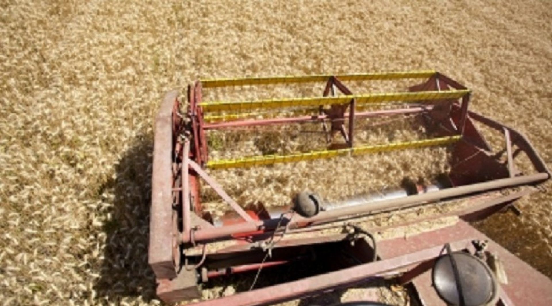 IFC looking to invest $30m in Hosen Capital's third agribusiness fund