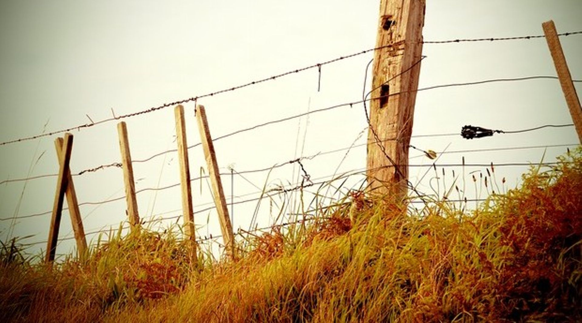 SG Realty Dealbook: Another lot of Joo Chiat shophouses for sale; Fraser's wins big Down Under