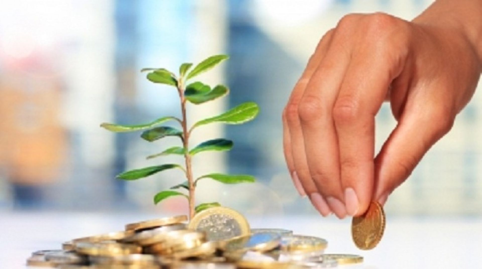 China's Huishoubao raises $15m series A investment led by Chengwei Capital