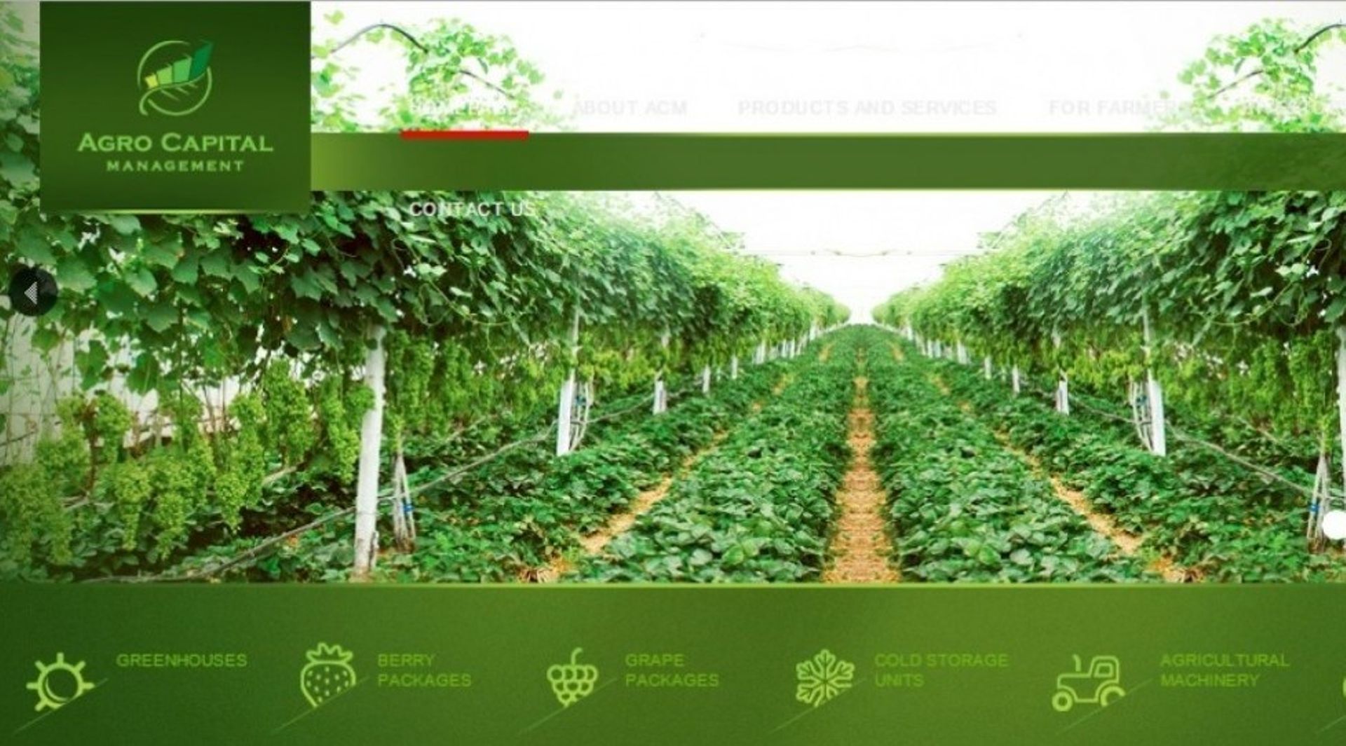 Malaysia's Agro Capital to list on NY over-the-counter market after reverse takeover of US-listed entity