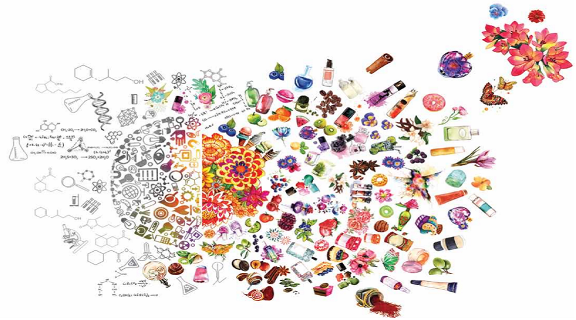 India: Blackstone-backed fragrance and flavour company SH Kelkar raises $23m ahead of IPO