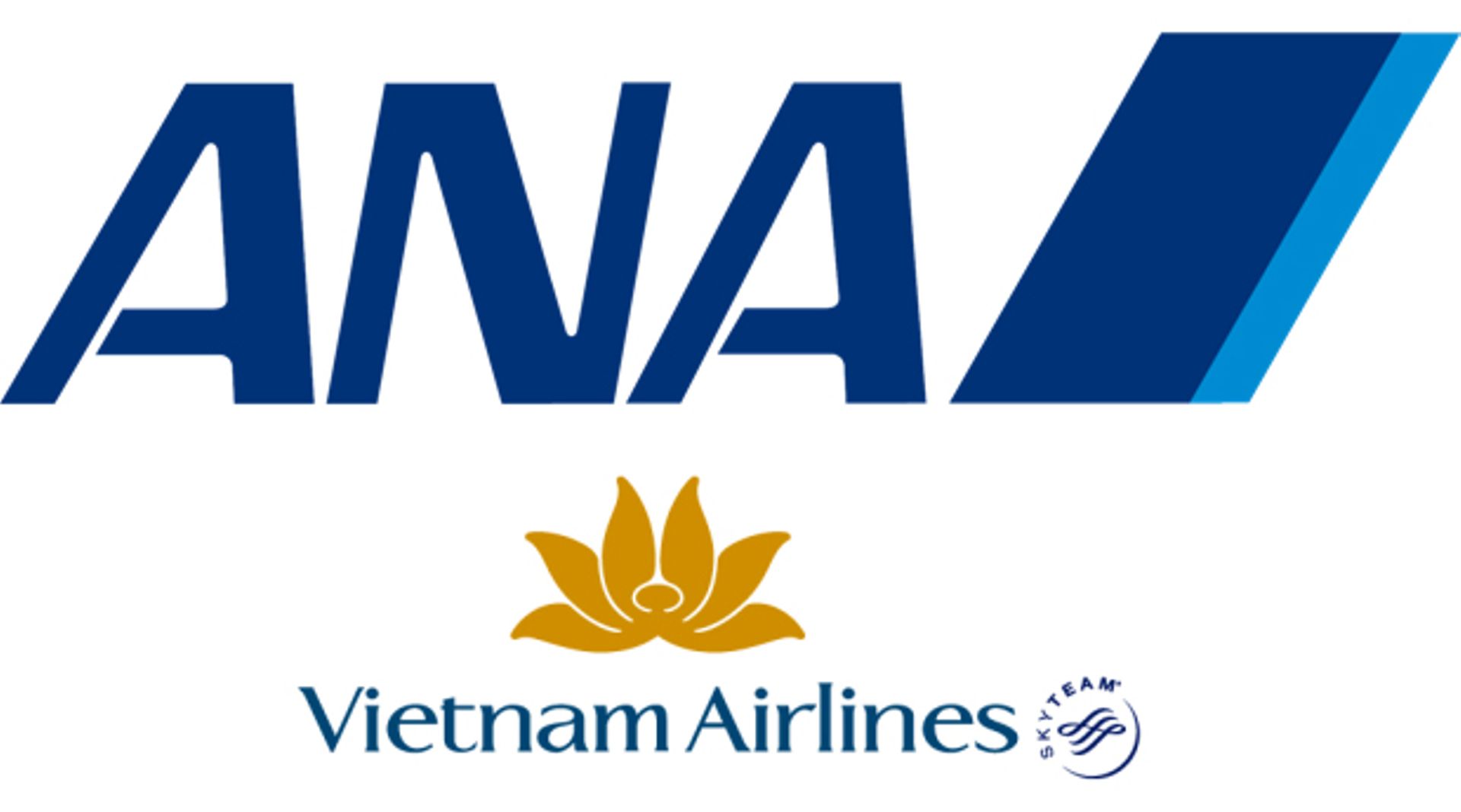Japan's ANA eyes 20% stake in Vietnam Airlines
