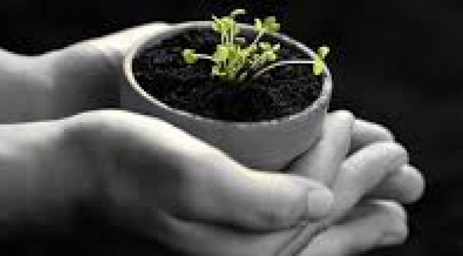 India: Is Avigo Capital a sign of a deeper PE crisis?