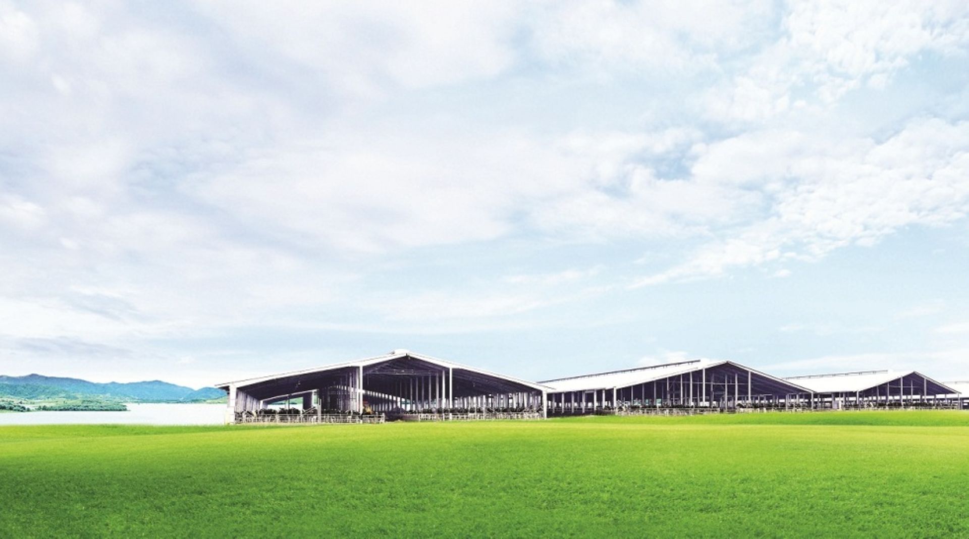 Vietnam's TH Food Chain to build $2.7b dairy farm in Russia