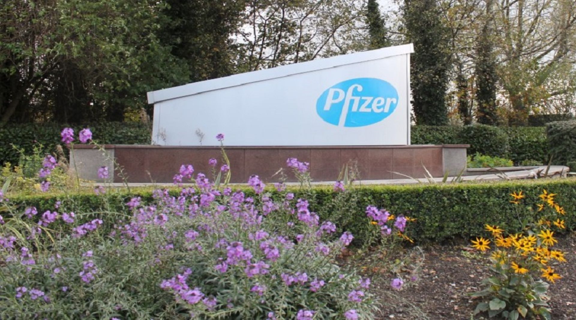 Pfizer set to buy Allergan for more than $150b in healthcare sector's largest deal