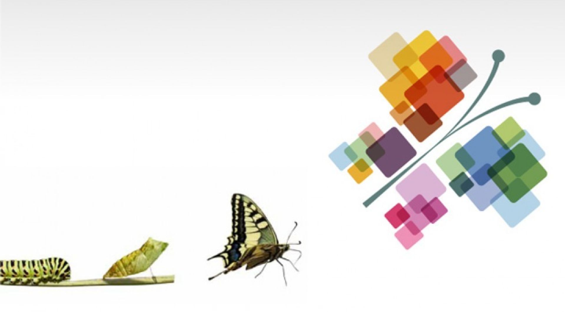 India: Virtusa to buy 53% in Polaris for $180m, make open offer for up to 26% more shares