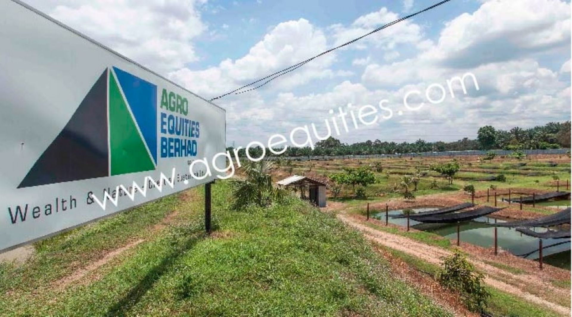 Malaysia: Agro Equities acquires Asia Cornerstone, looks to launch agro-focused fund