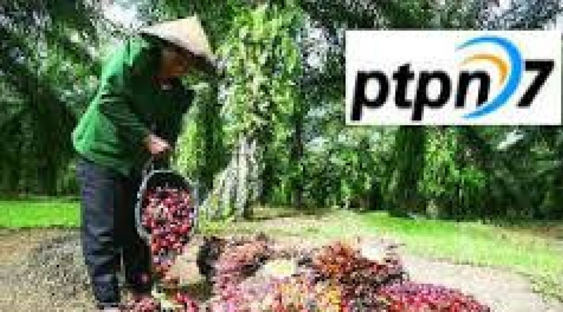 Two Indonesian state-owned firms to tap IPO route to raise over $150m in 2016