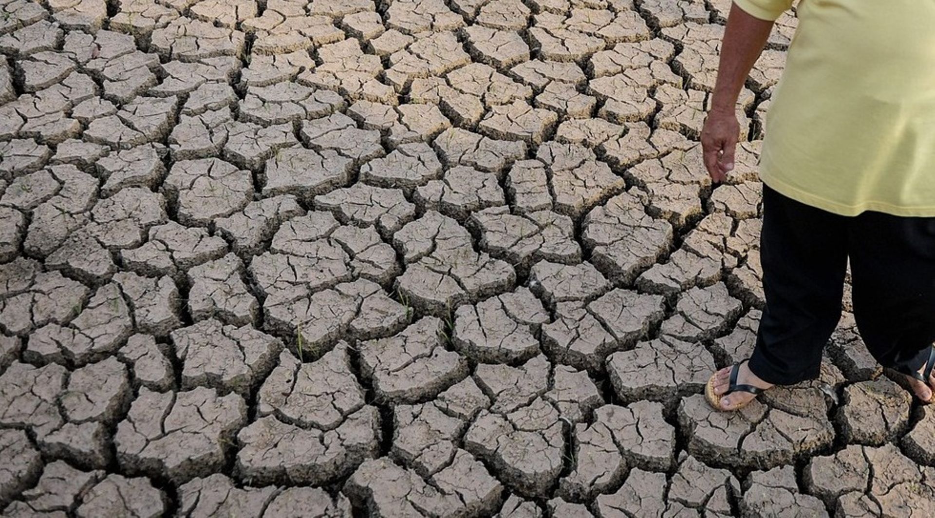 Supply chain firms face fund drought as Indian food tech valuations hit roof, says Hemendra Mathur, SIIA