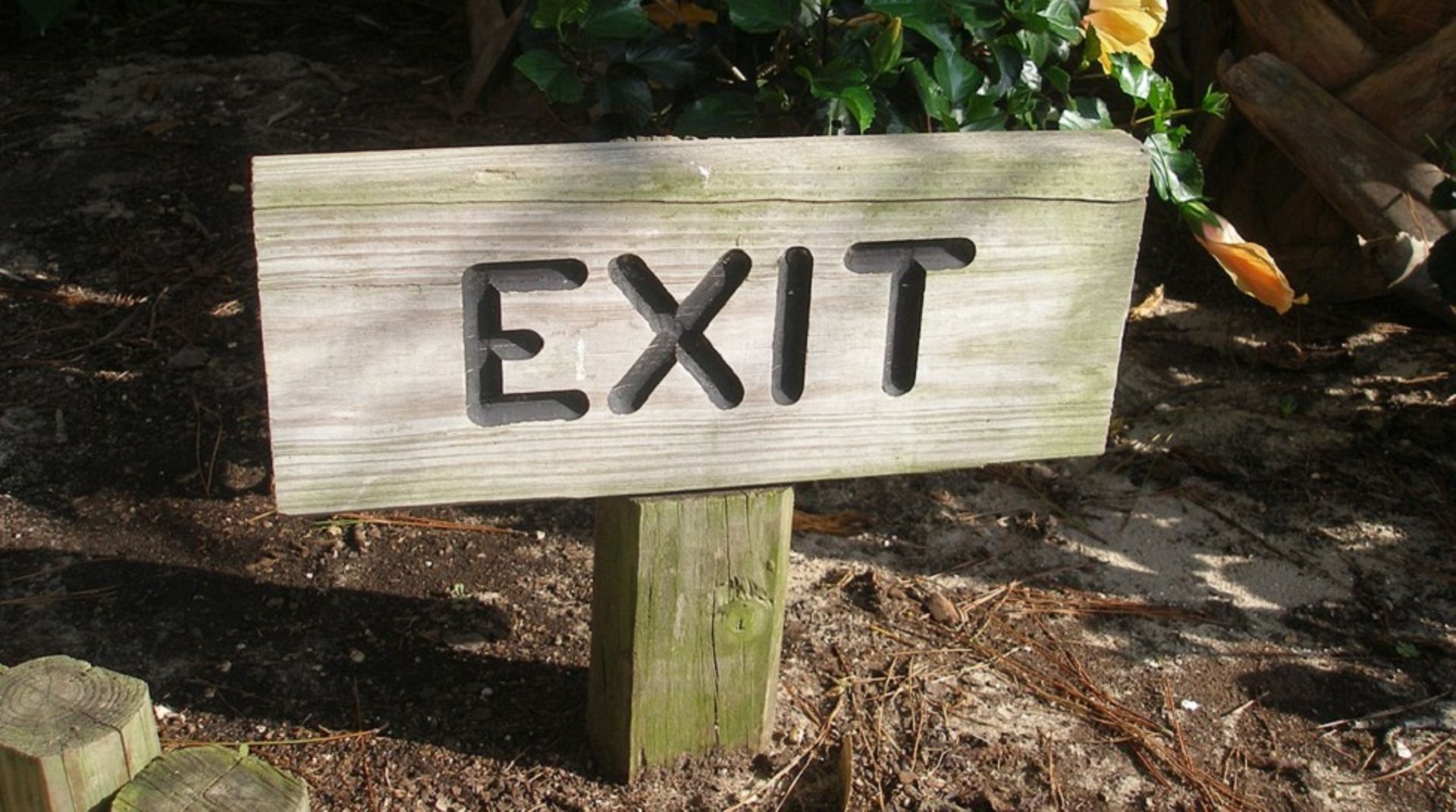 India: No easy way out for investors as exit valuations for startups still low, says Economic Survey