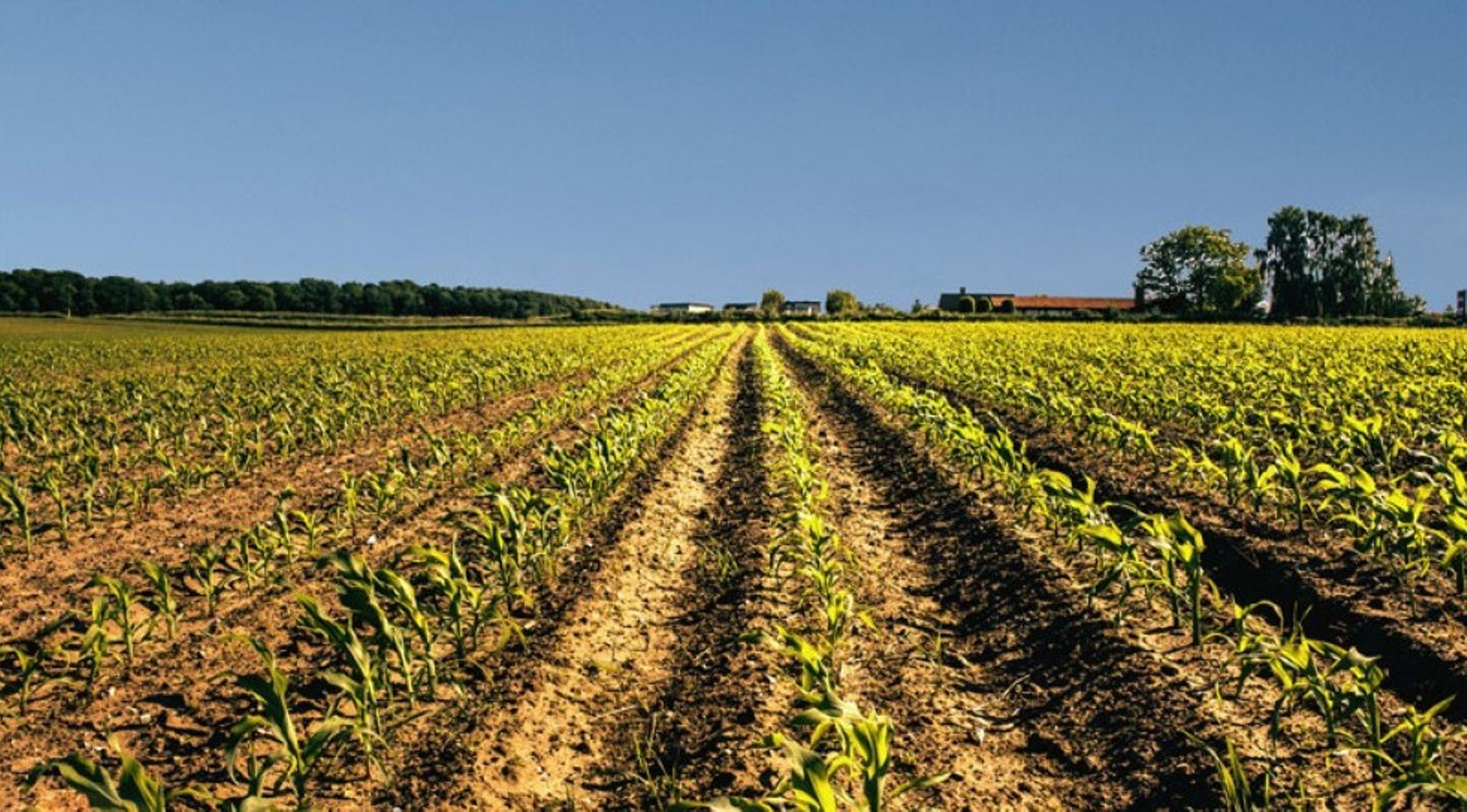 India: Godrej Agrovet kicks off IPO process, hires i-bank