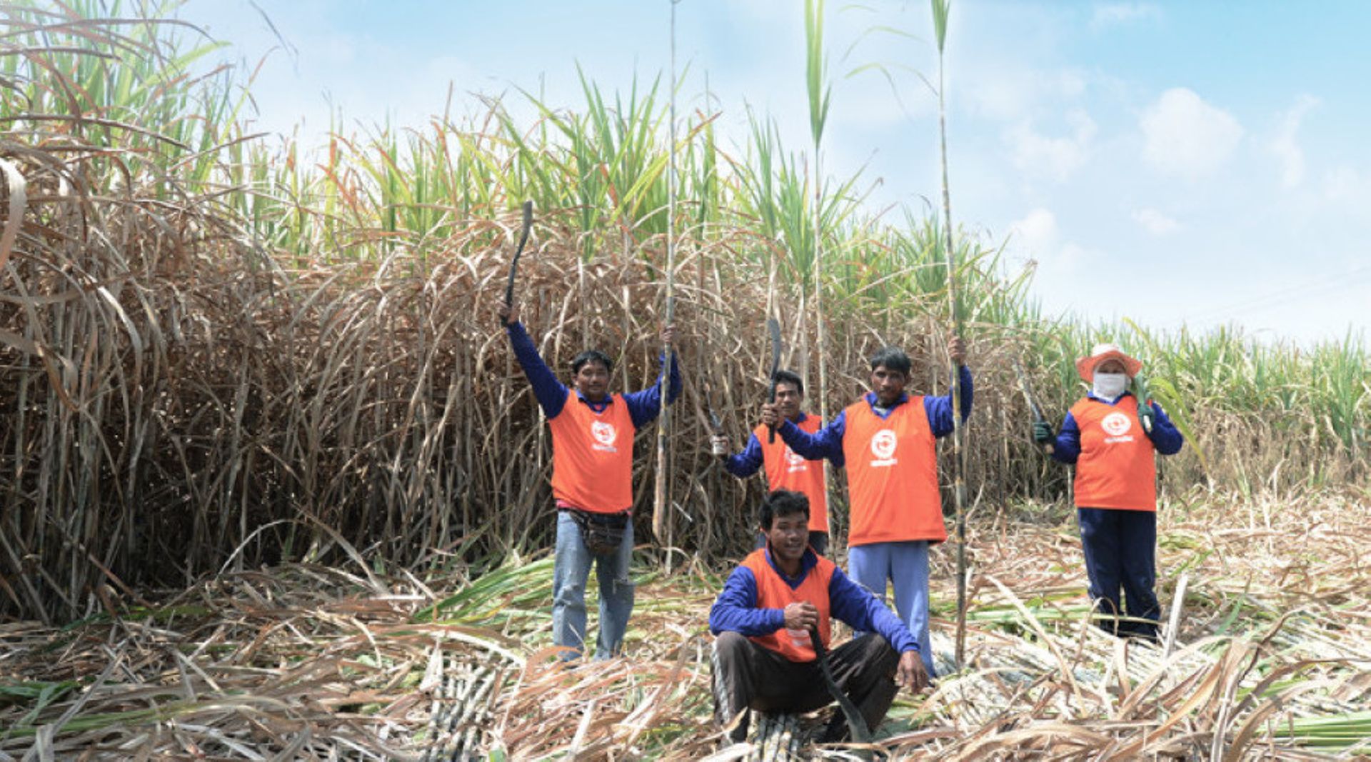 Thai sugar producer Buriram seeking partner to invest $281.7m