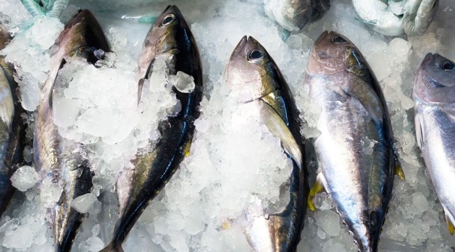 Indonesia Digest: Meloy Fund backs SIG Asia; Sampoerna invests in Fairbanc