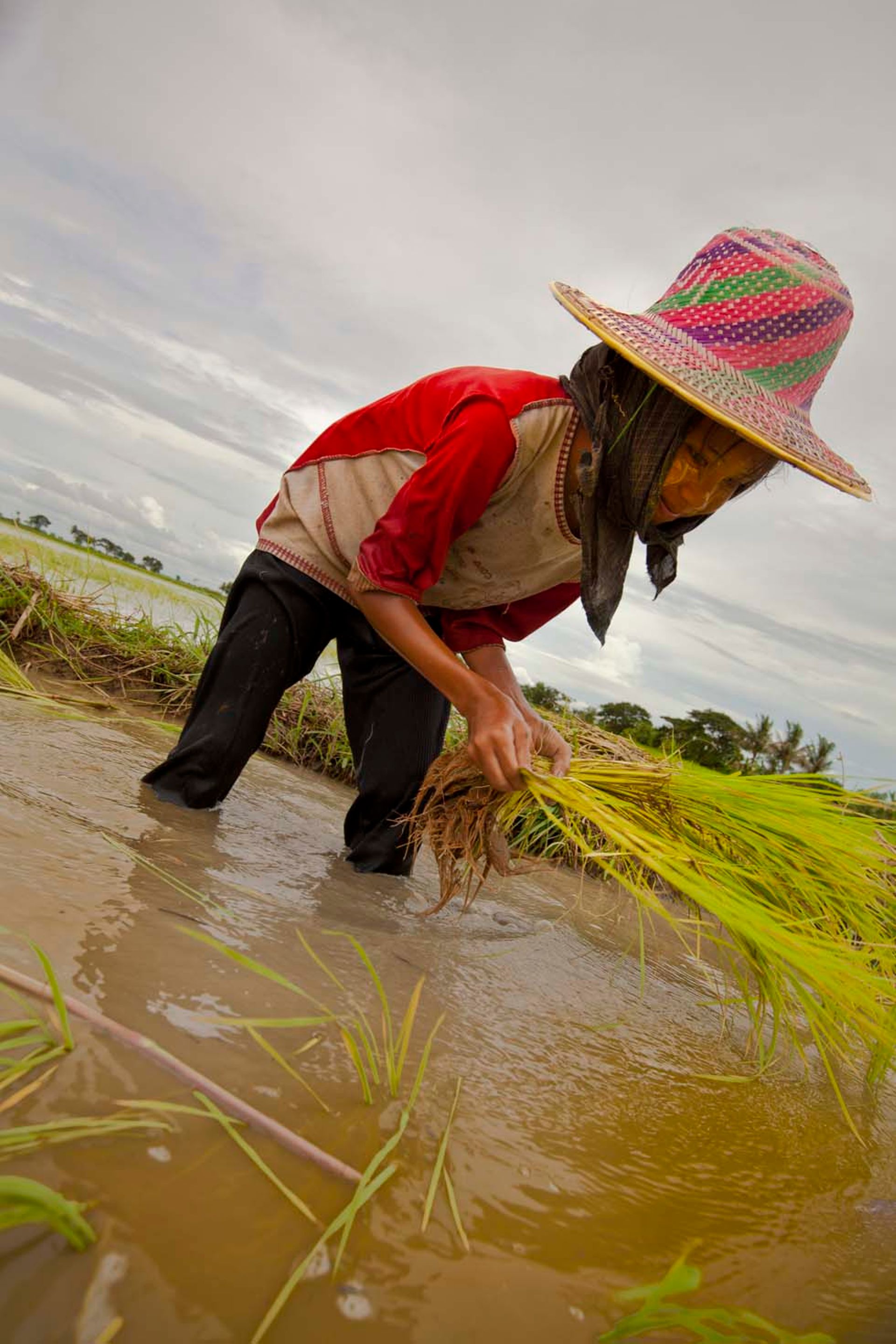 Greater Mekong-focused Belt Road Capital to deploy $50m debut fund in 10 deals