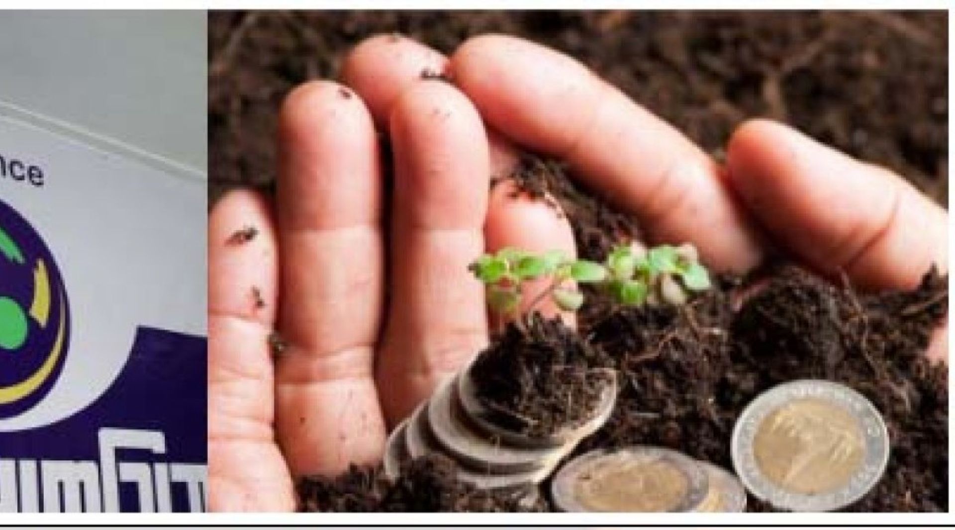 Exclusive: IFC to invest $7.5m in Myanma Awba unit Maha Agriculture