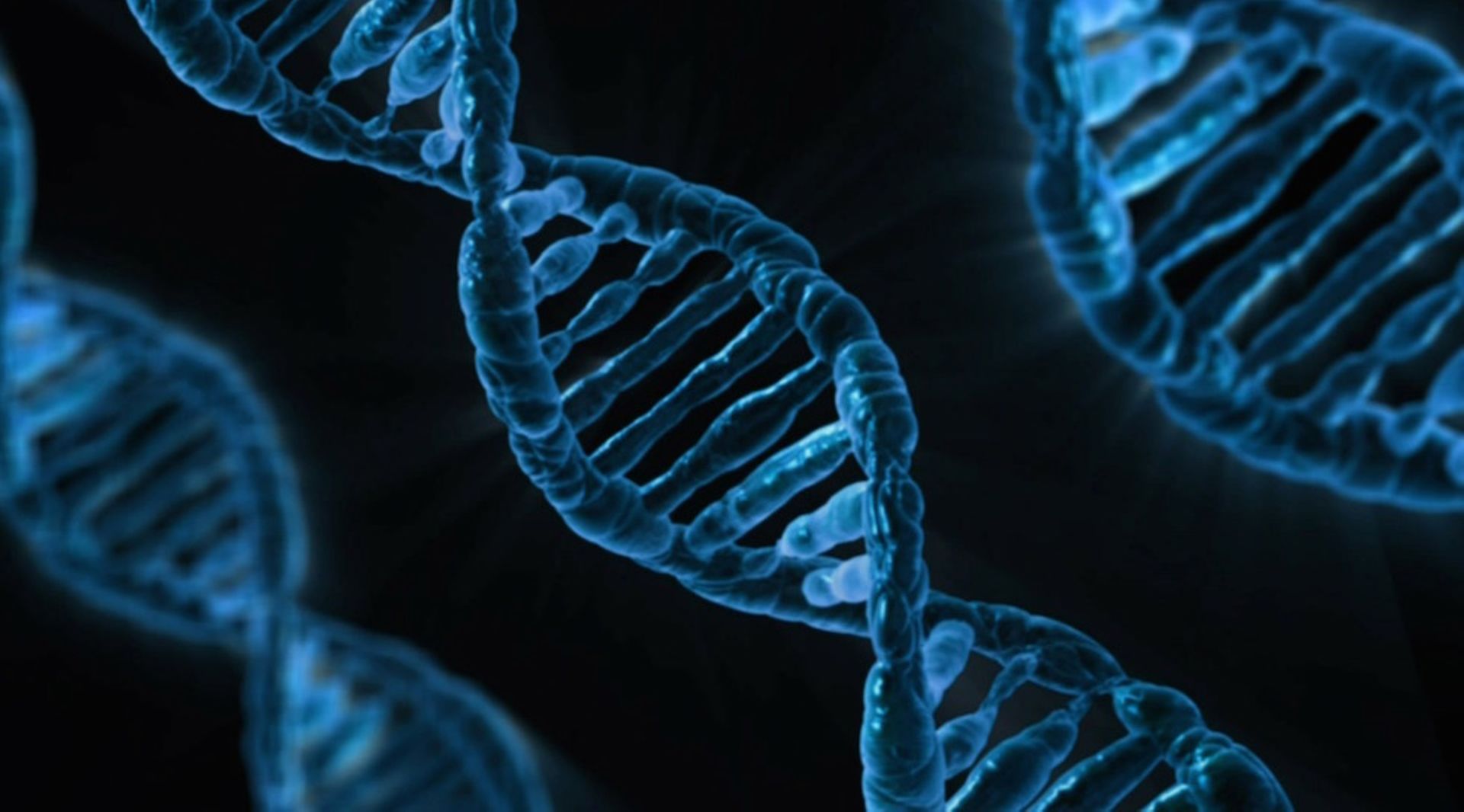 Korea Investment Partners backs $8m investment in Enlivex Therapeutics