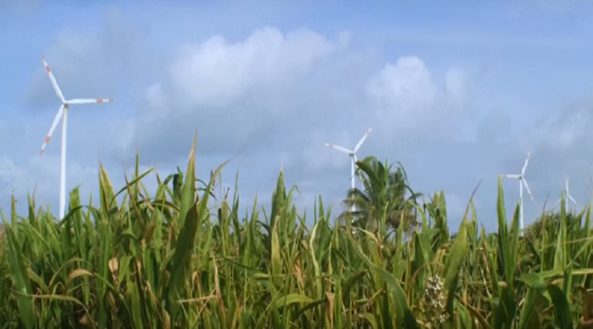 India: Asian Development Bank to lend $175m to Mytrah Energy