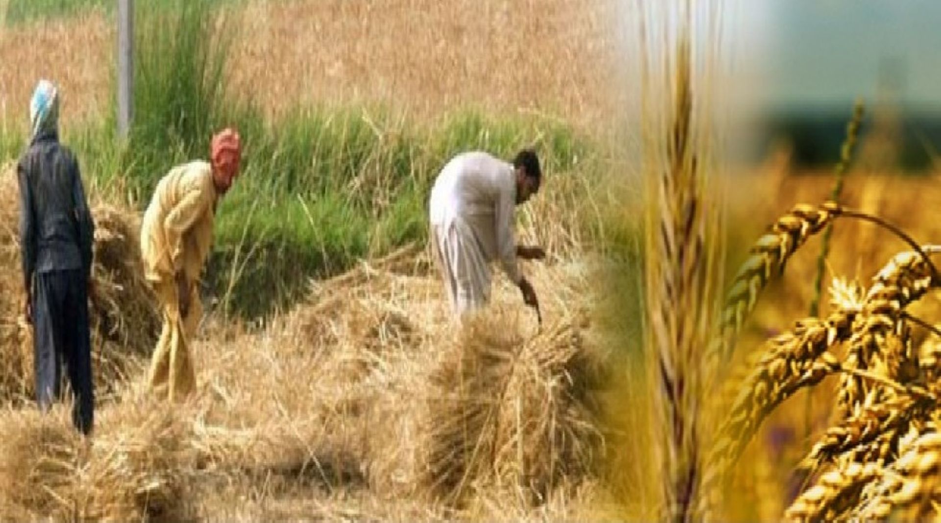 ADB okays $600m loan program for public enterprise reform in Pakistan