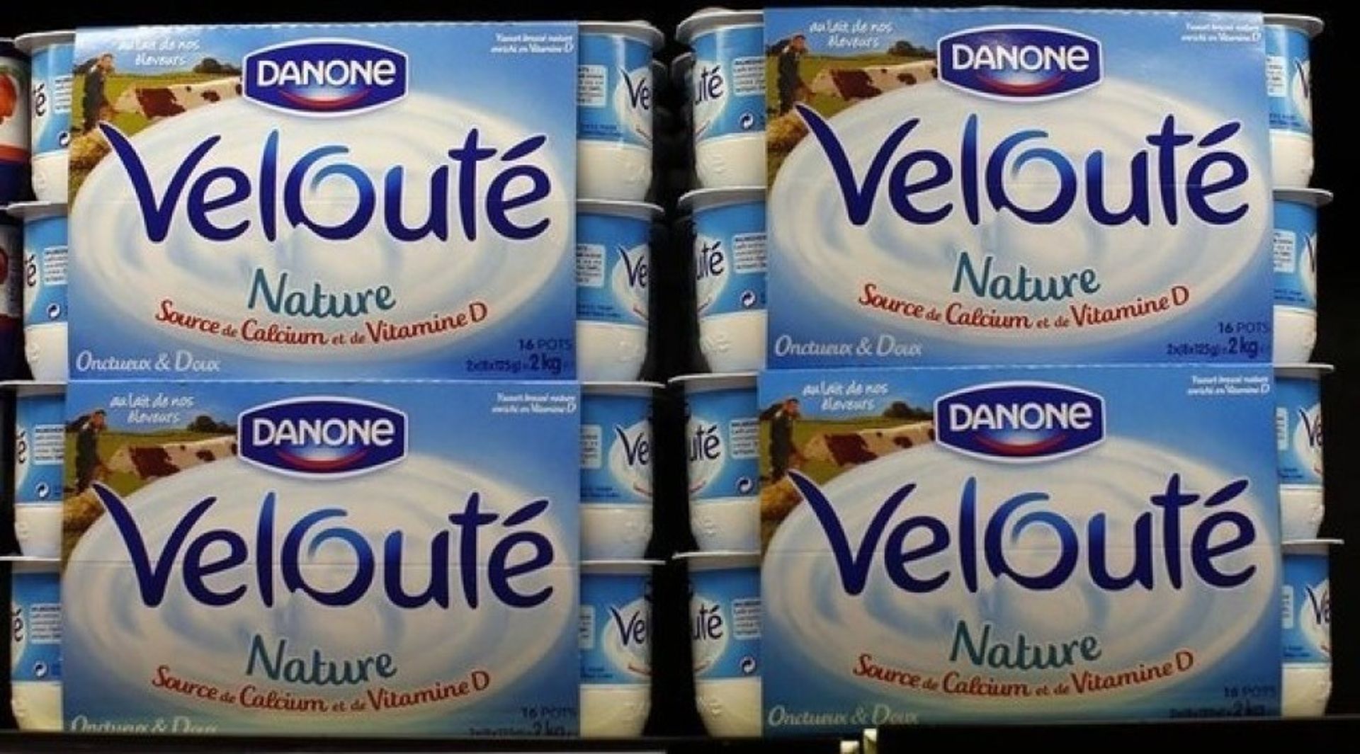 Chinese group Inner Mongolia Yili plans $850m bid for Danone's Stonyfield