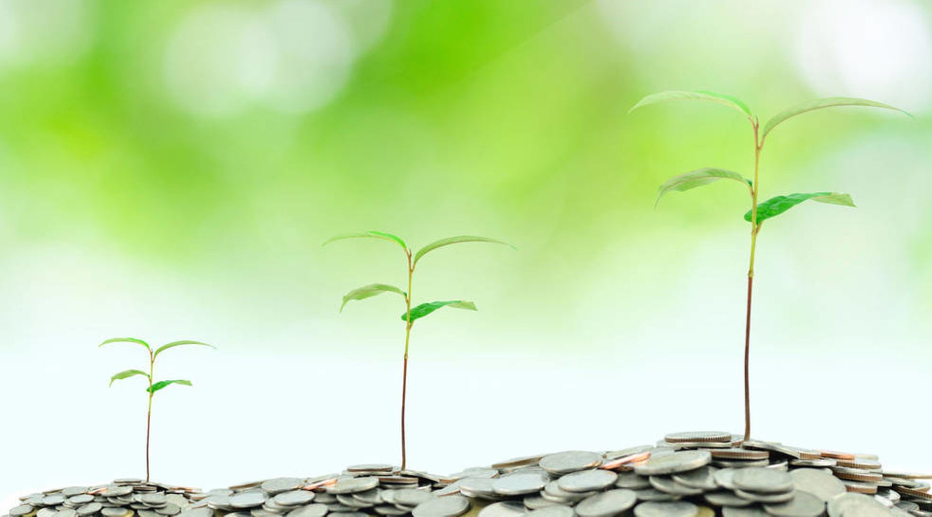 Japan: Seak, Renoveru & Emerada raise funding