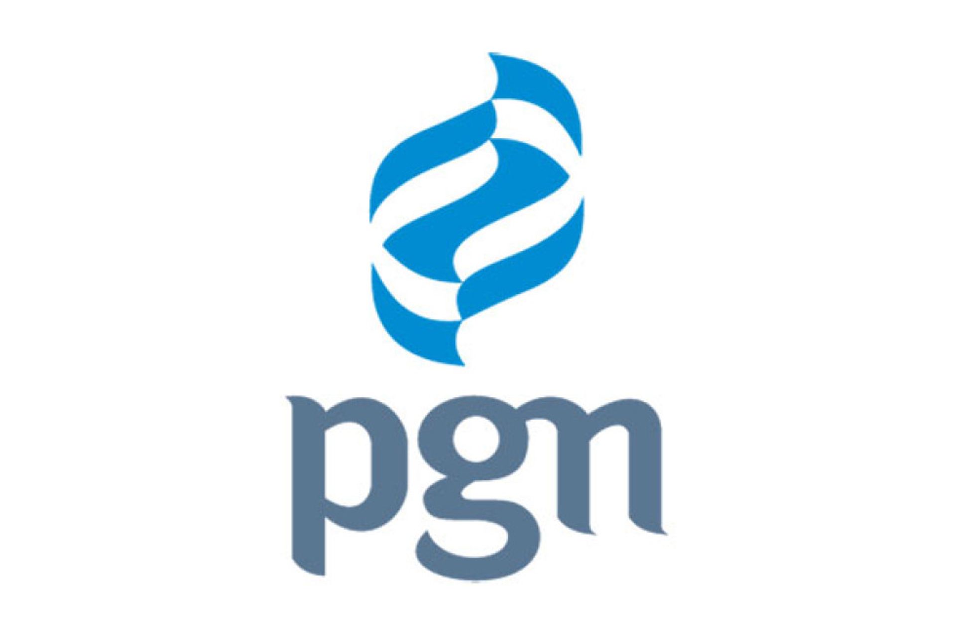 Indonesia: Merger with Pertamina will increase value for both firms, says PGN director