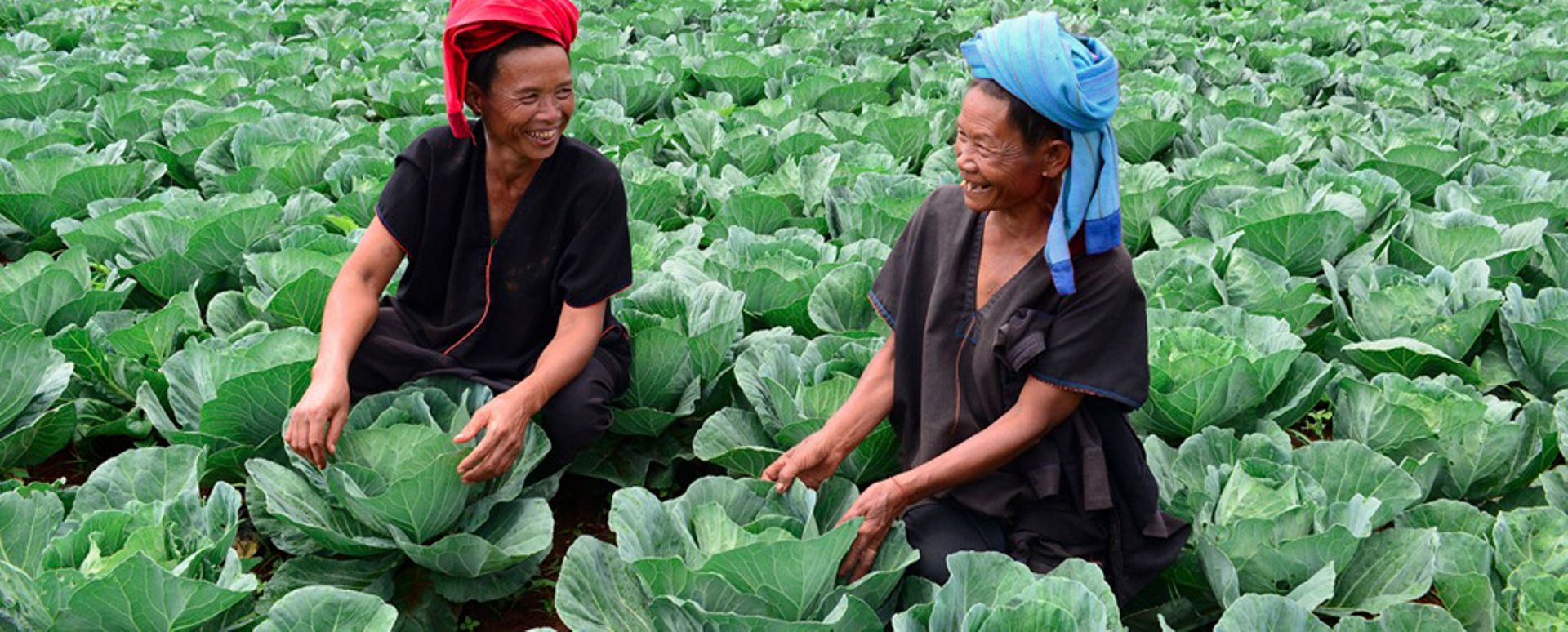 IFC extends $10m financing to Myanma Awba for setting up agri inputs plant