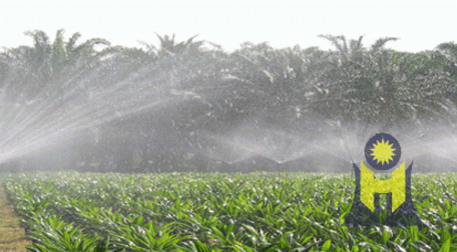 Malaysia Digest: Matang Bhd to launch IPO; VF Capital inks $100m JV