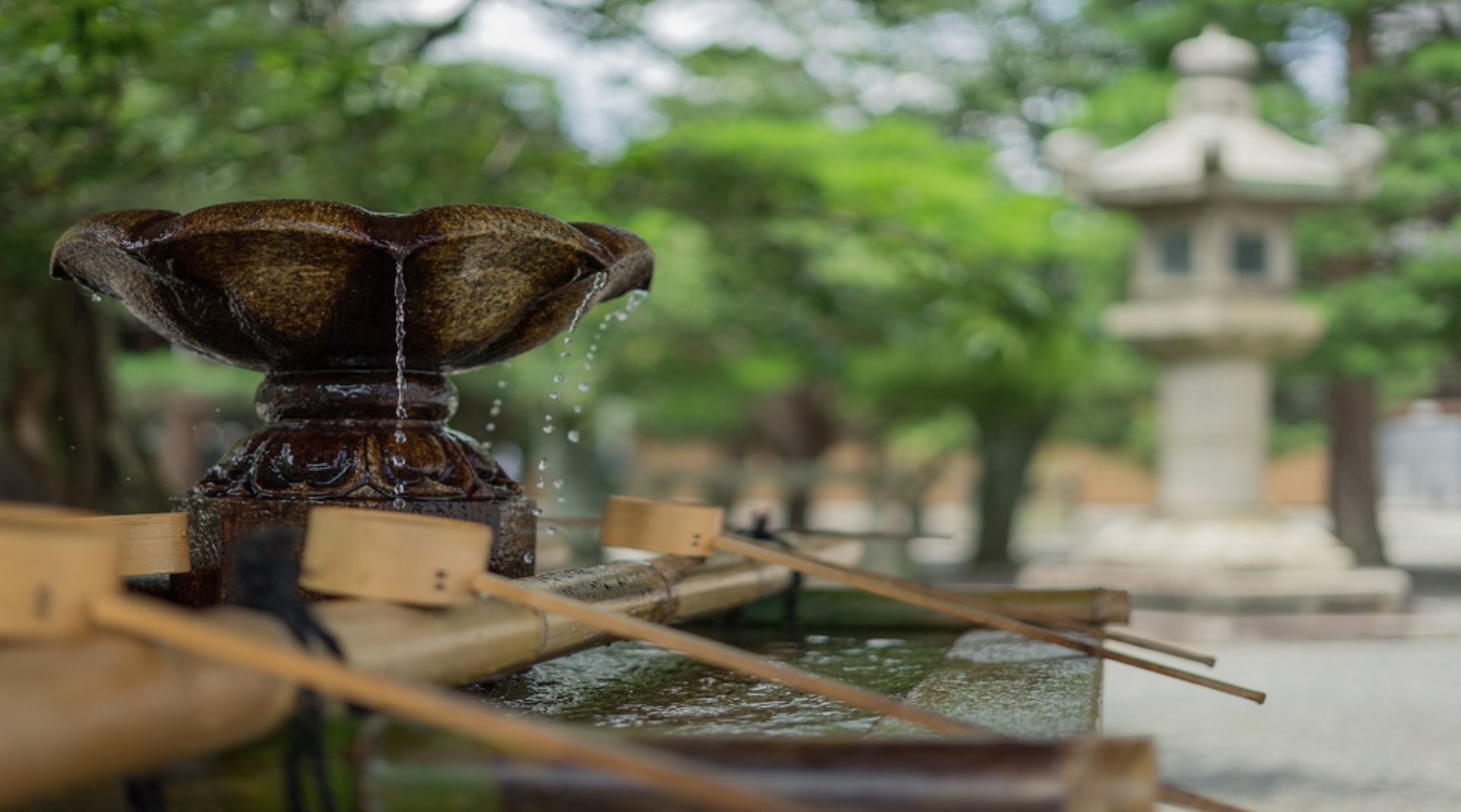 Asia Roundup: Fingertip Labs, Dely and Spark Systems raise funding