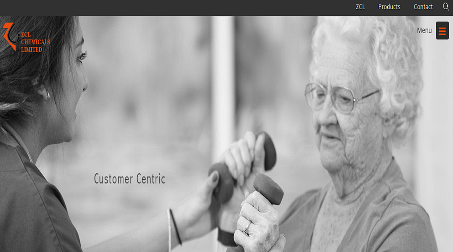 India: Morgan Stanley PE invests $25m in ZCL Chemicals