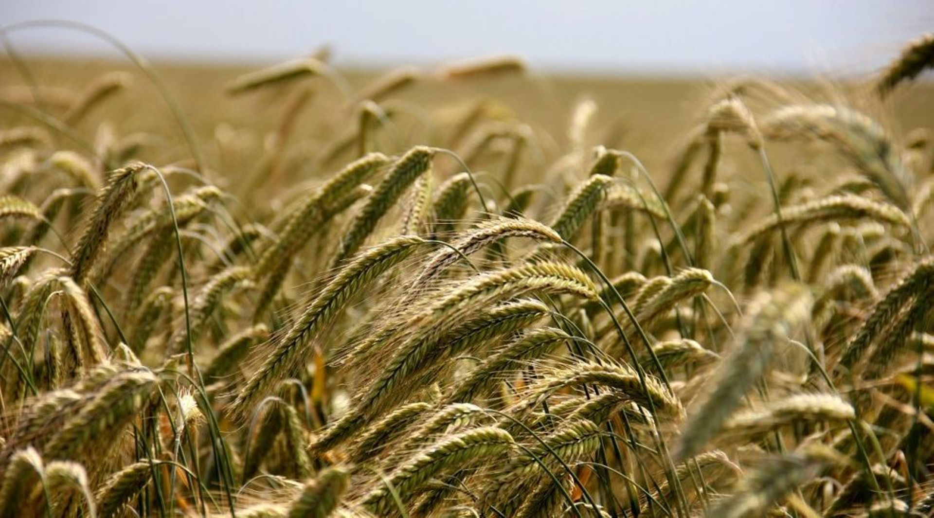 India Dealbook: SIDBI invests in SuperZop; IP Ventures backs Intugine